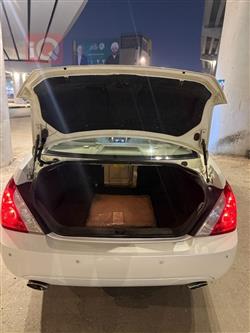 رينو سافران